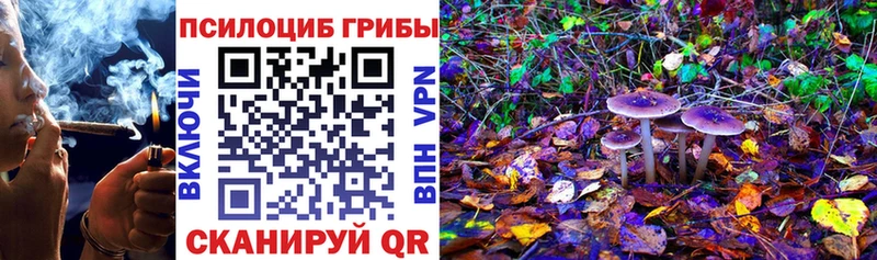 мега ТОР  наркошоп  Нижние Серги  Галлюциногенные грибы Magic Shrooms 